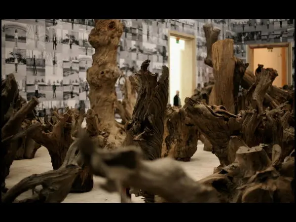 06 weiwei