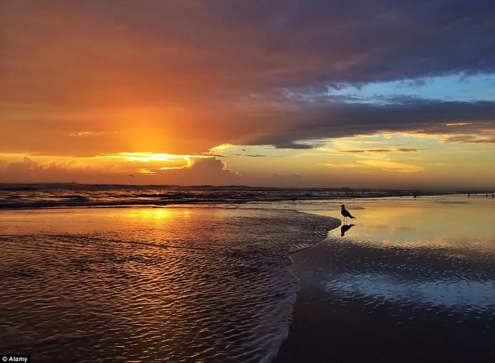 2648ea2900000578 0 image a 17 1425456271781