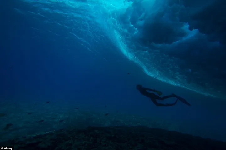 2648ea2d00000578 0 image a 19 1425456271866