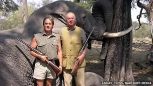 59725485 elephant