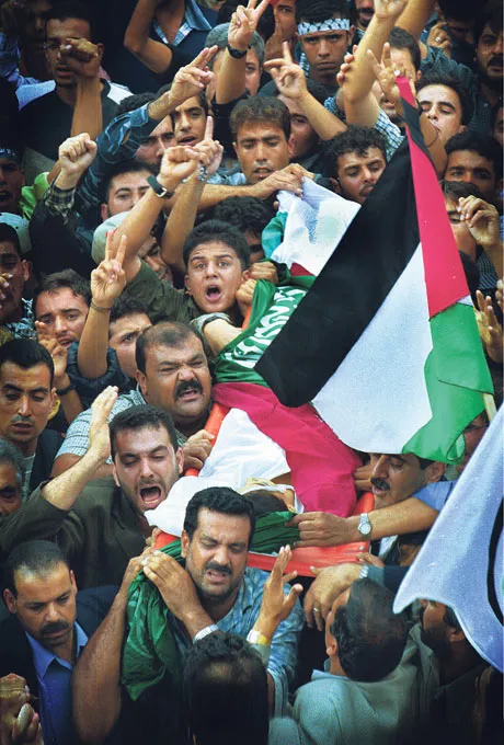 ami vitale gaza 001