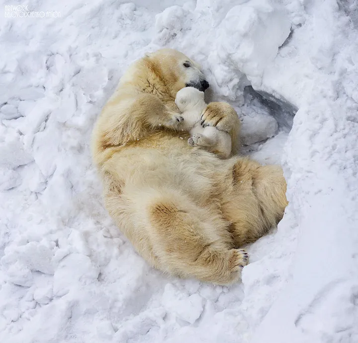 animal parents 3 2