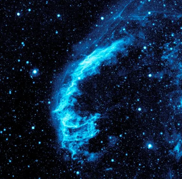 anp 20059659 584x576