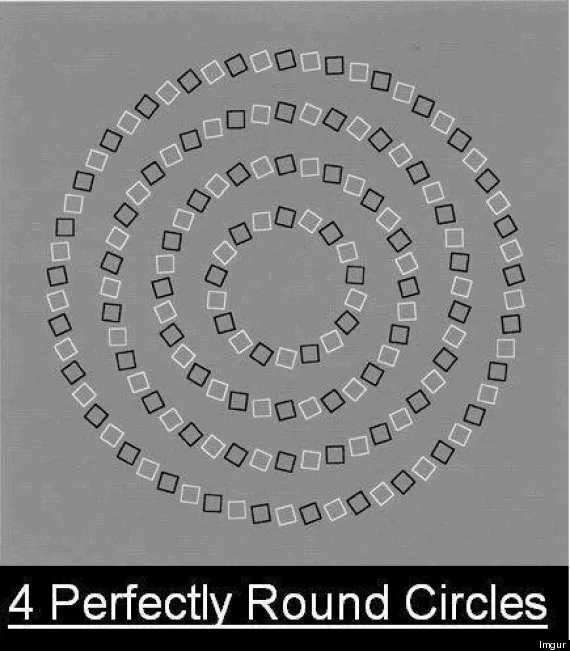o optical illusions 570