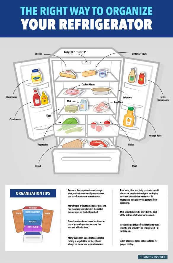 refrigerator organization 03 584x885