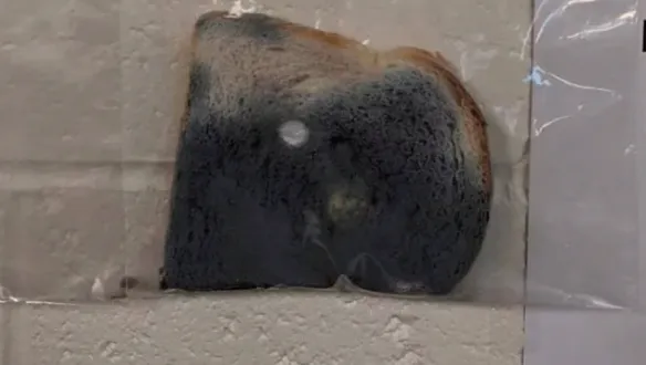 screenshot 6 1 584x330