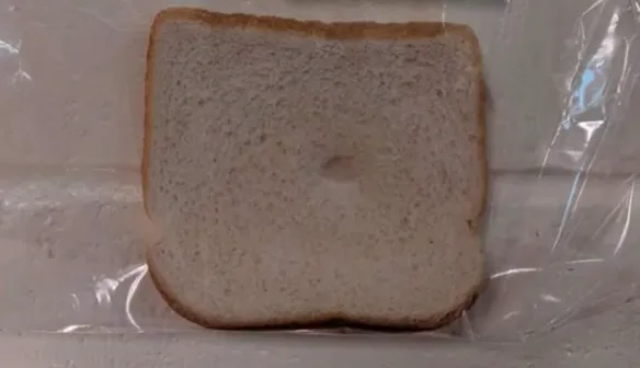 screenshot 7 584x336