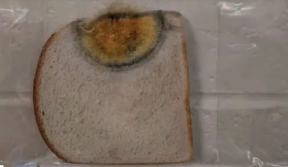 screenshot 9 584x340