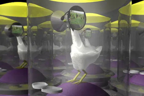 second live stock by austin stewart dezeen 3