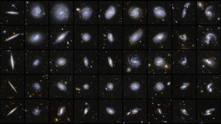Enkele van de geclassificeerde sterrenstelsels. Bron: ESA