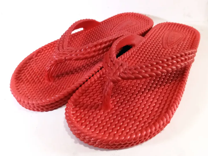 shutterstock 2480347491