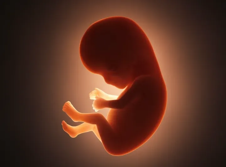 Scherm­afbeelding 2025-08-18 om 06.53.59