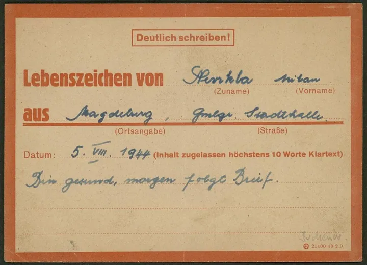 eines-der-lose-der-auktion