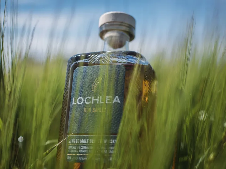 lochlea our barley