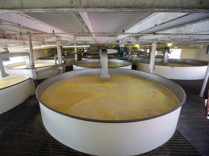 buffalo-trace-distillery-fermentation