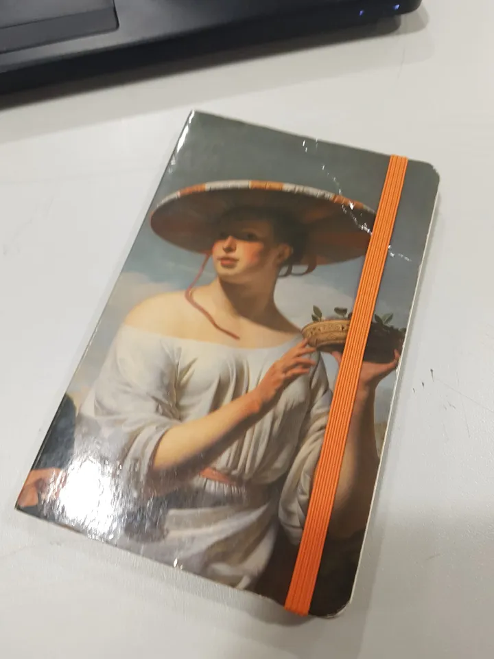 <i>Boekje. Ook wel: Meisje met een brede hoed van Caesar van Everdingen, te zien in het Rijksmuseum.</i>