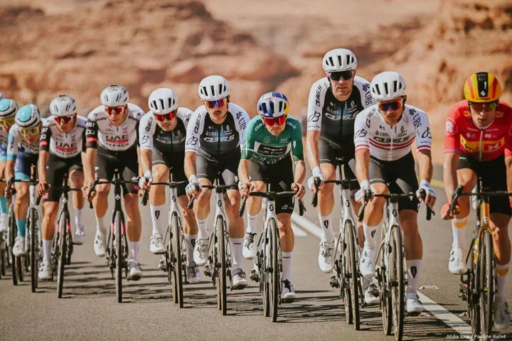 q365 alula tour 679ce45306fbb