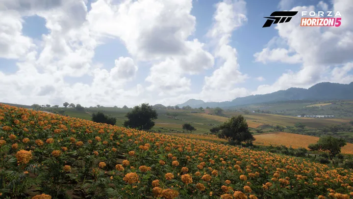forza horizon 5 biome farmland 01 16x9 wmf1627370167