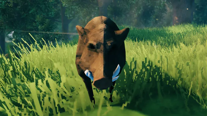 valheim boarf1615376599