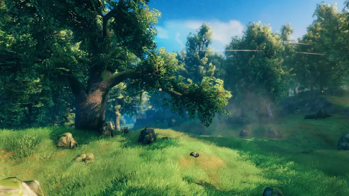 valheimscreenshotf1613566655