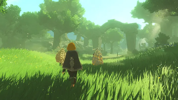 Hyrule_Warriors_Age_of_Imprisonment_2
