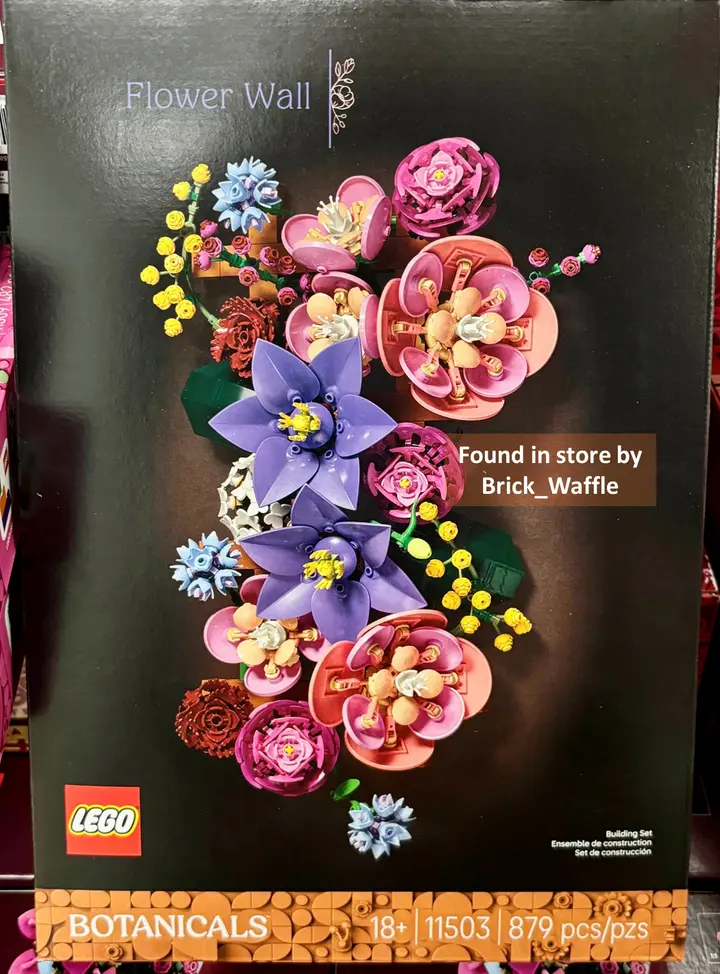 11503 wall flower