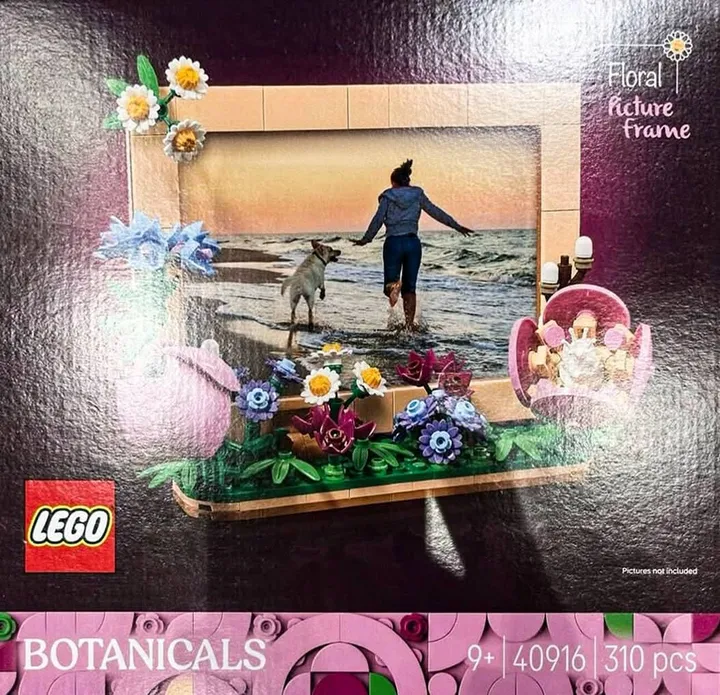 floral frame