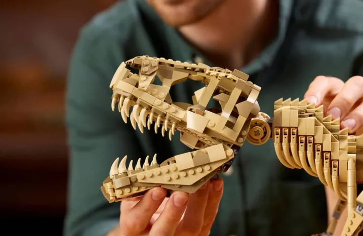 Dinosaurusfossielen: Tyrannosaurus rex