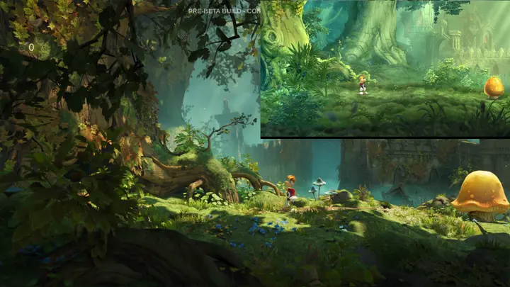 rayman compare